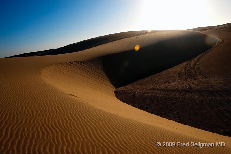 20090603_164216 D3 X1.jpg - And the magnificent dunes, more brown, less red that Sosussvlei.  Note the 4x4 tracks